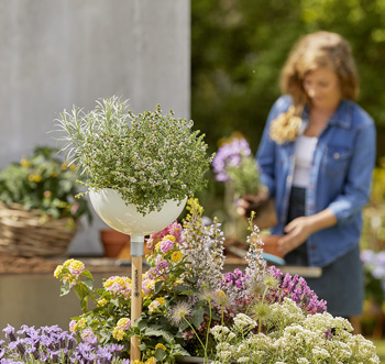 Geben Sie Ihren Pflanzen ein schönes Zuhause mit der Gardena ClickUp! Pflanzschale